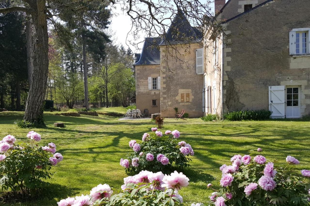 Bed and Breakfast Manoir Du Bellay Montreuil-Bellay Exterior foto